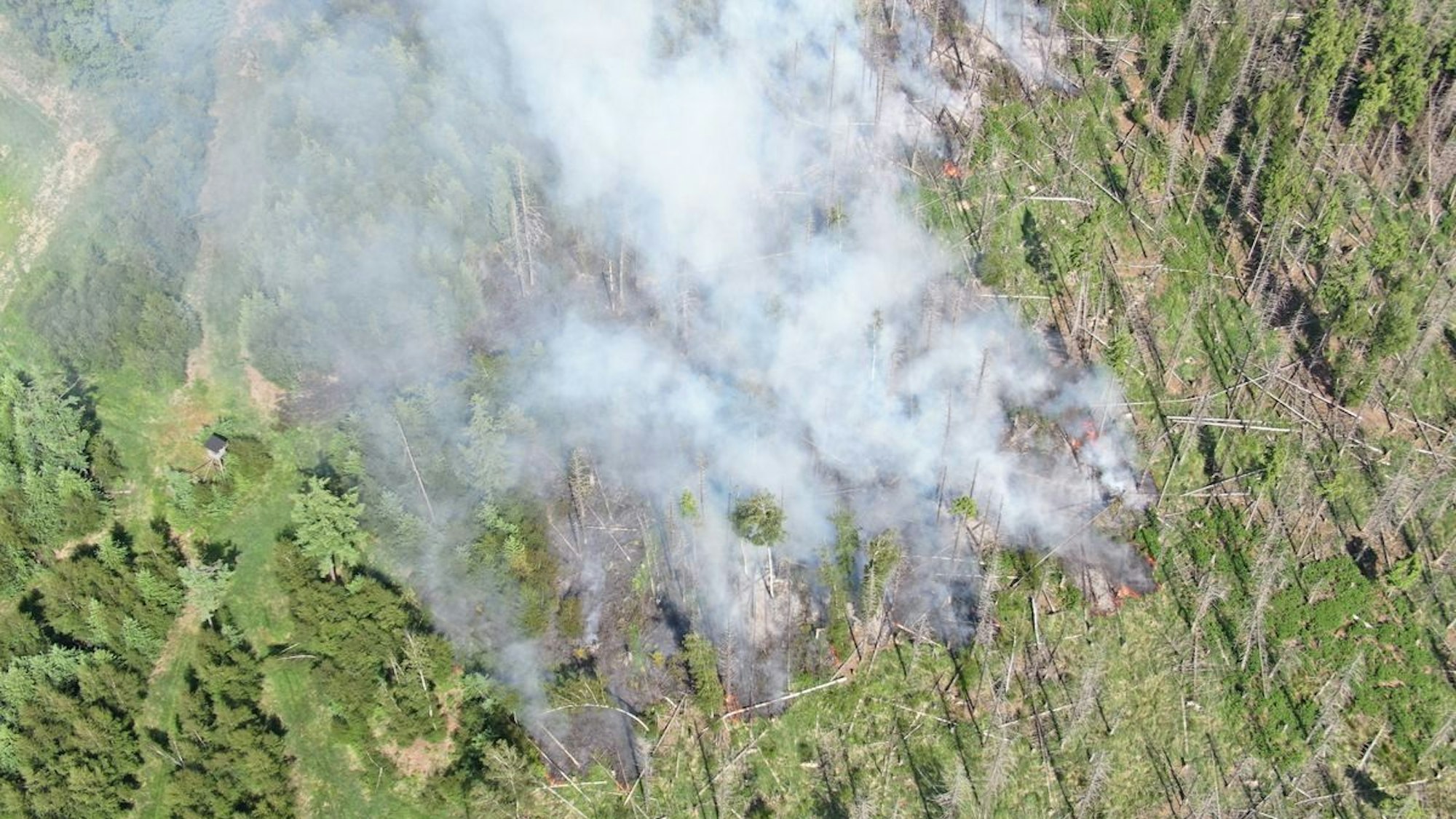 Waldbrand am Möhnesee