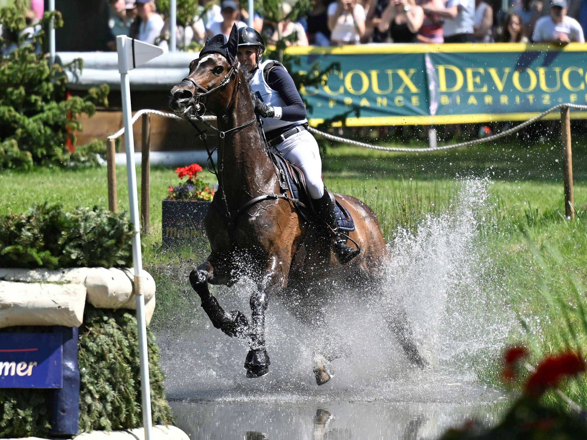 Das Pferd Chiquita mit Reiterin Maj-Jonna Ziebell bei einem Wettkampf im flachen Wasser.