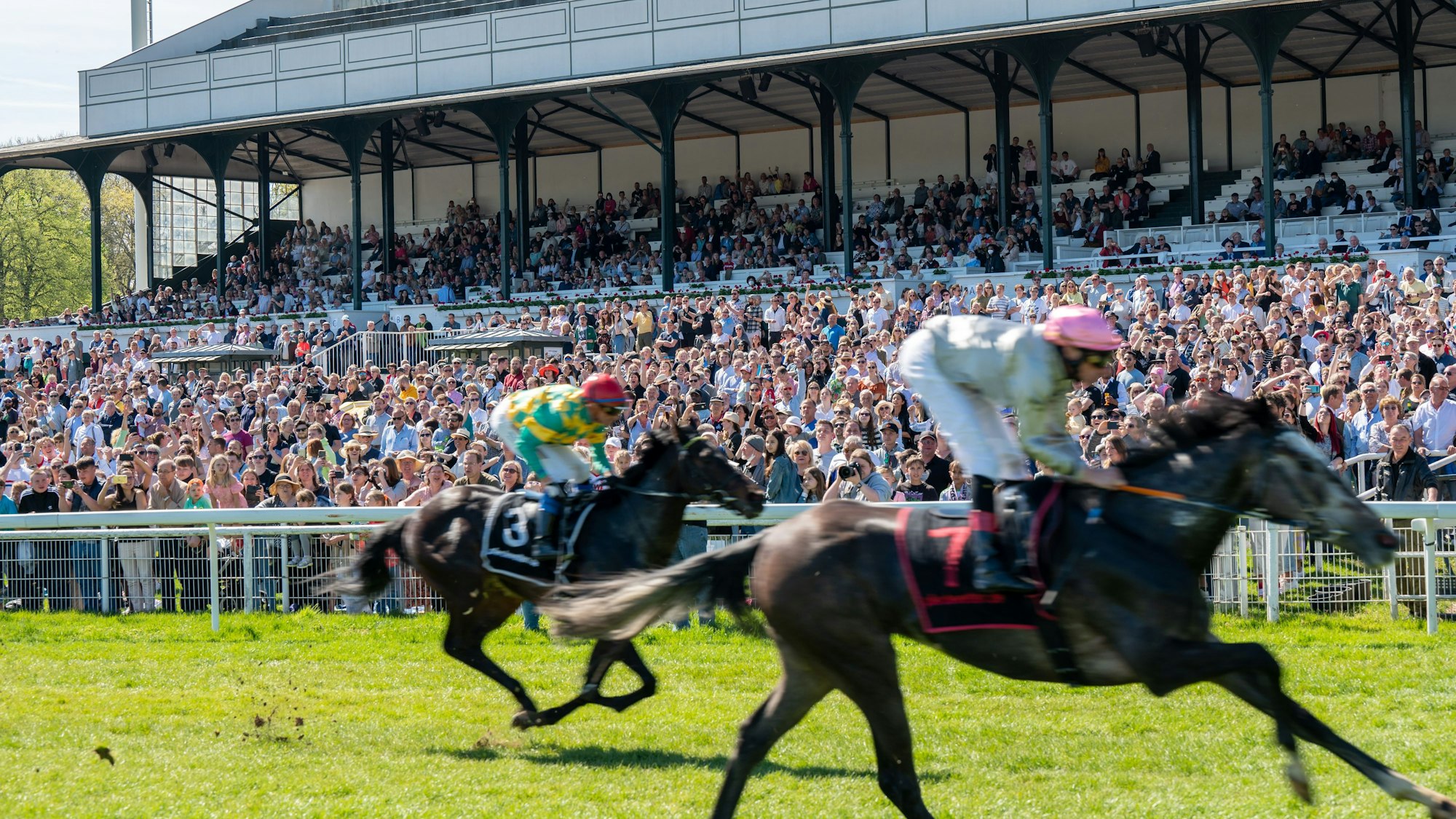 Die Reiter preschen an der Tribüne vorbei.