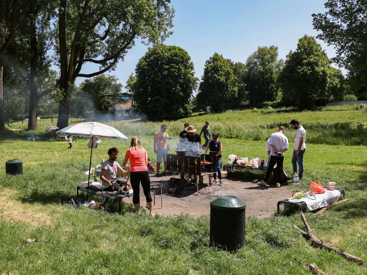 Ein Grillplatz an der Kölsche Riviera in Rodenkirchen (Archivfoto)