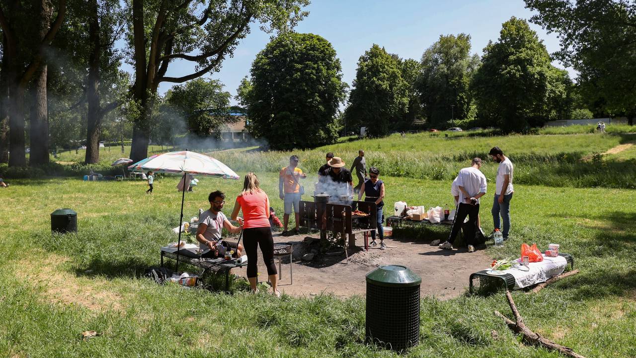 Ein Grillplatz an der Kölsche Riviera in Rodenkirchen (Archivfoto)