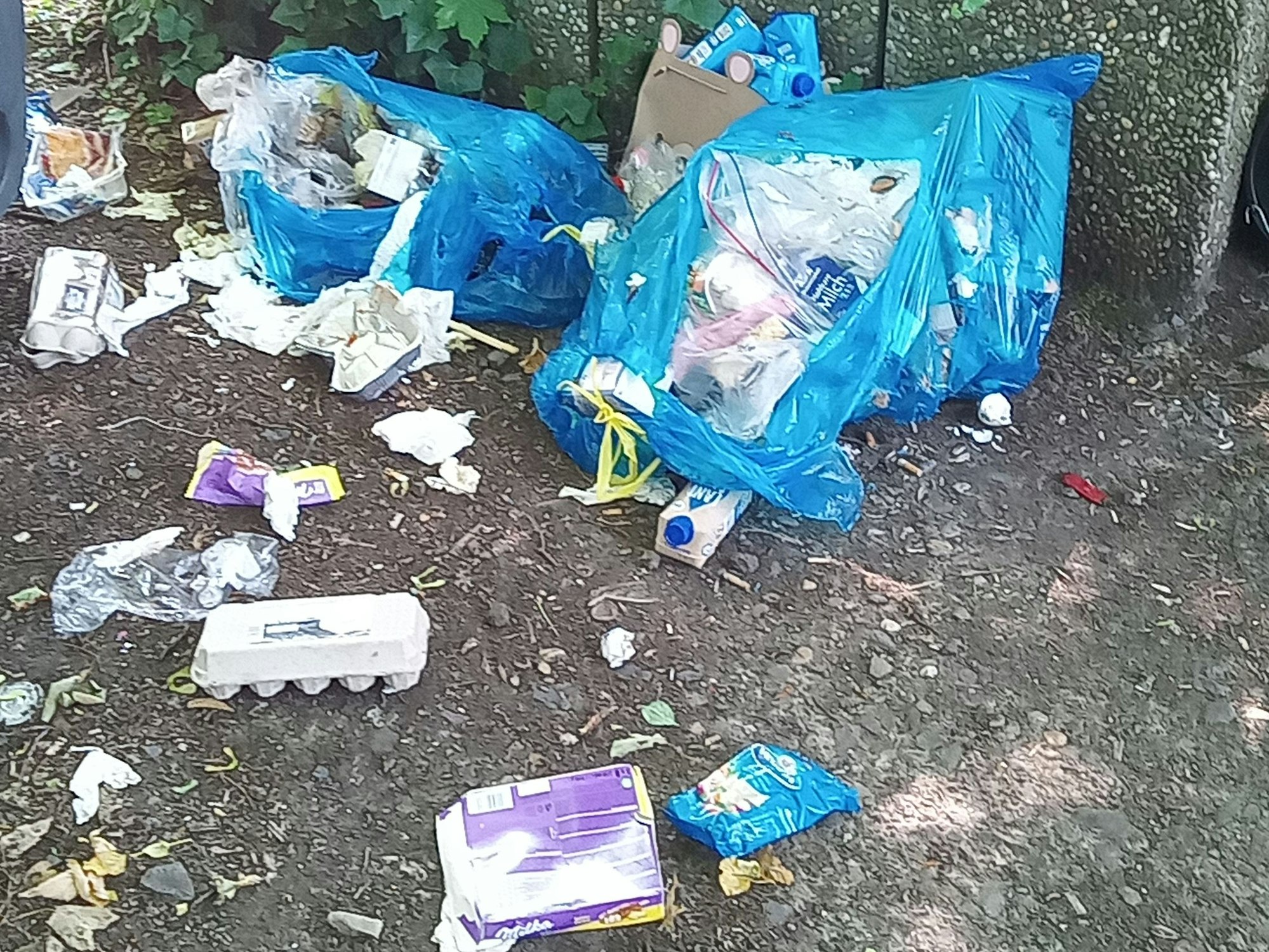 Müll liegt am Straßenrand.