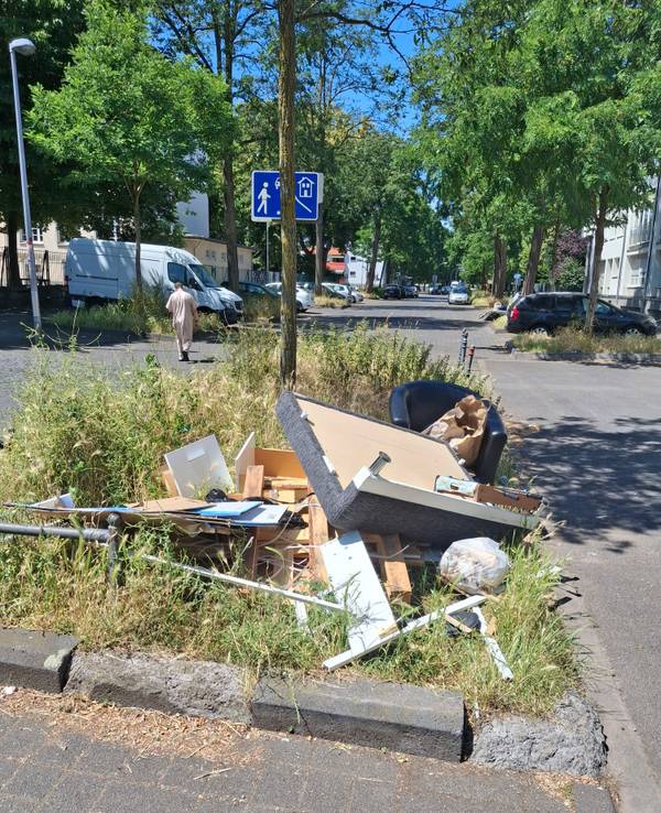 Sperrmüll liegt am Straßenrand.