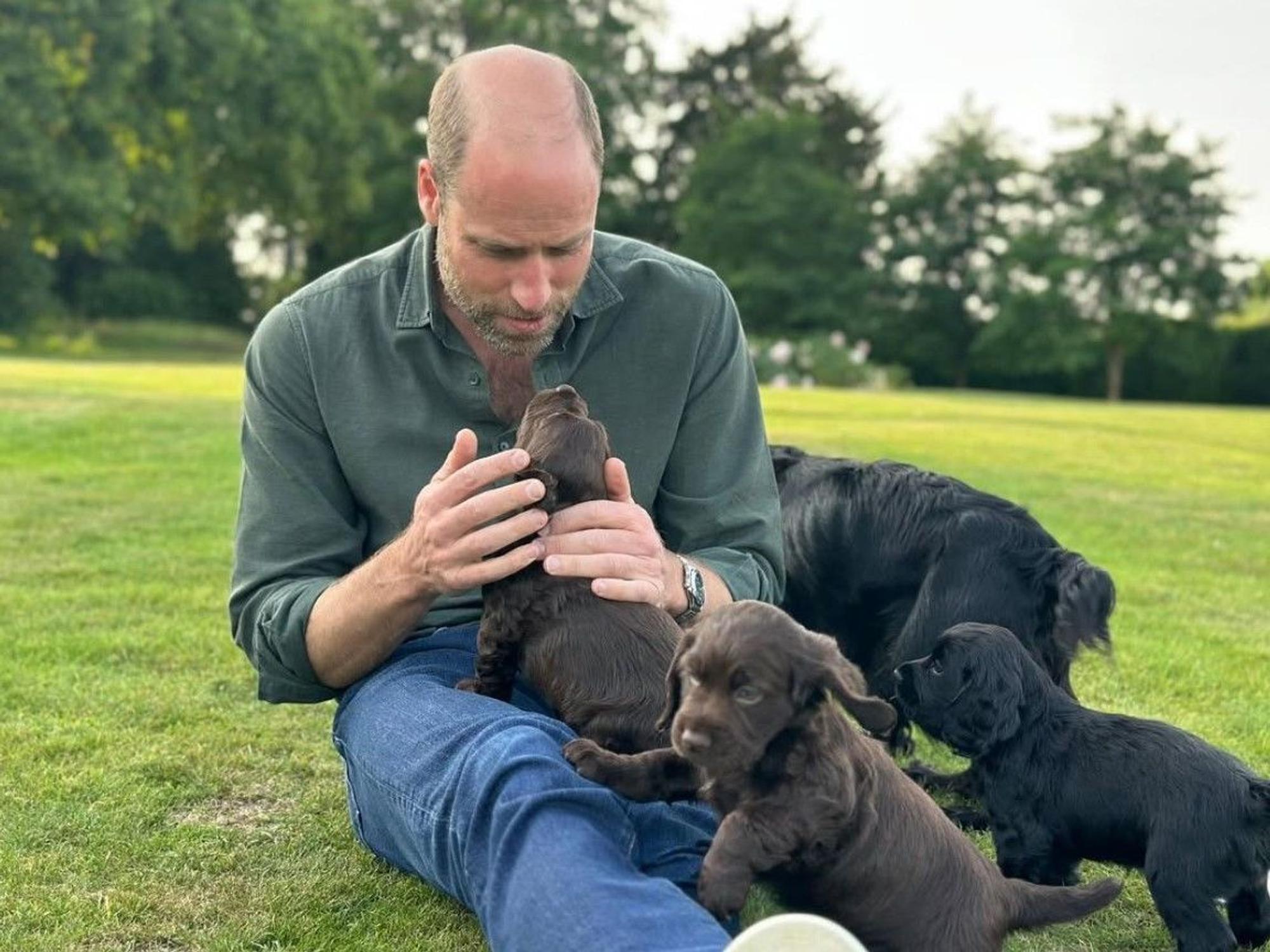 Prinz William feiert am 21. Juni 2025 seinen 43. Geburtstag.