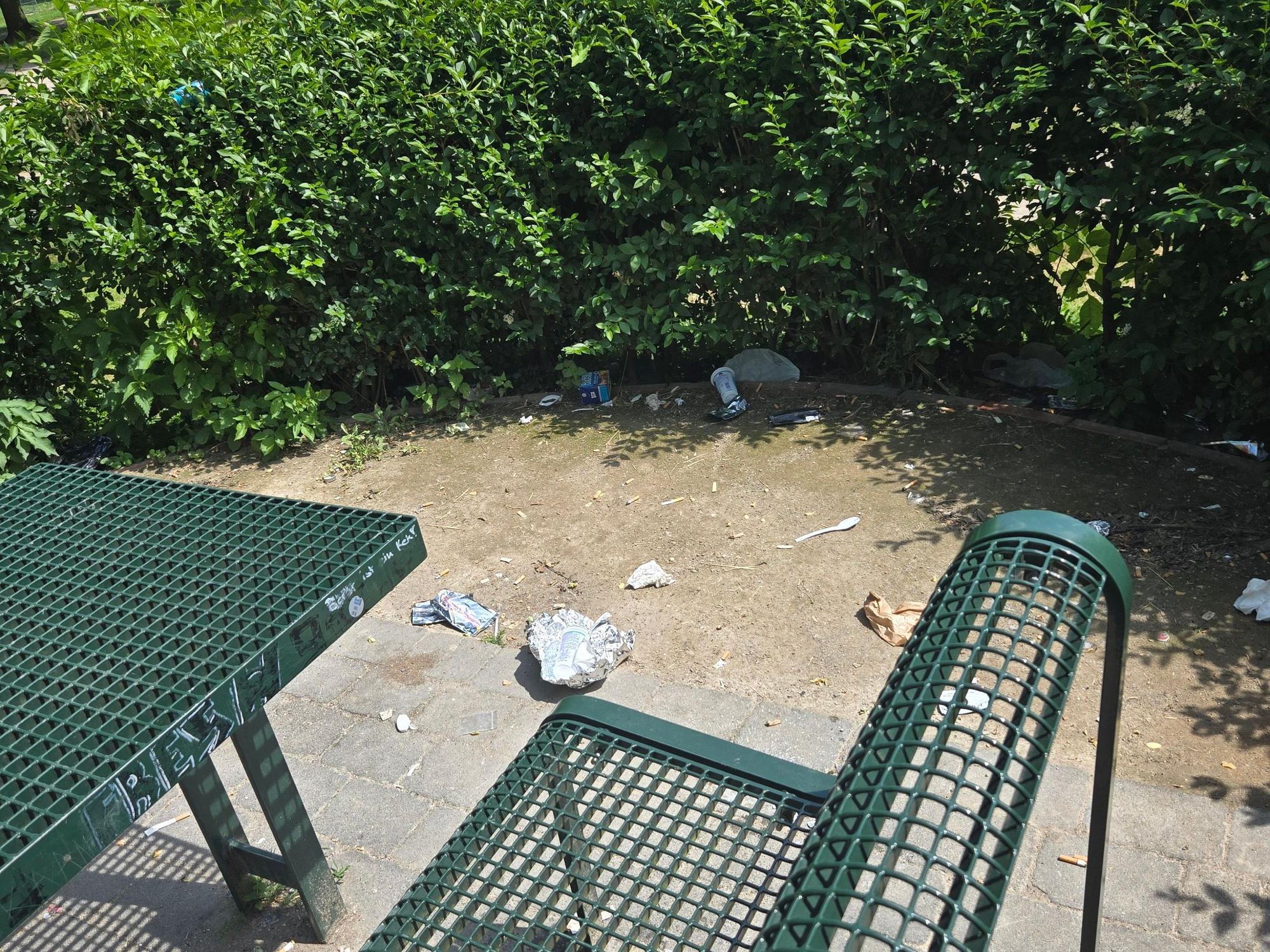 Müll liegt in einem Park.