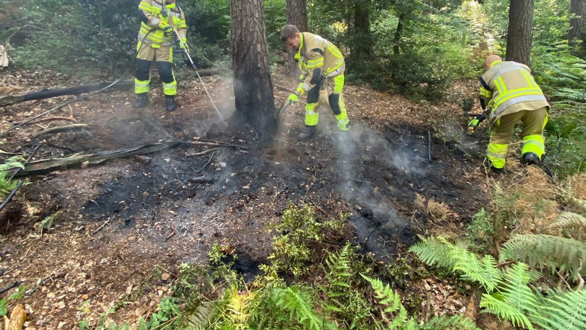 Einsatzkräfte der Feuerwehr Iserlohn bei der Bekämpfung eines beginnenden Waldbrandes in Grürmannsheide an der Rotehausstraße.