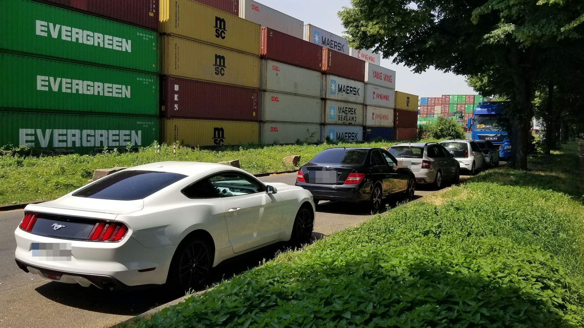 Falschparker und Falschparkerinnen wurden am Sonntag (22. Juni 2025) am Rhein abkassiert.