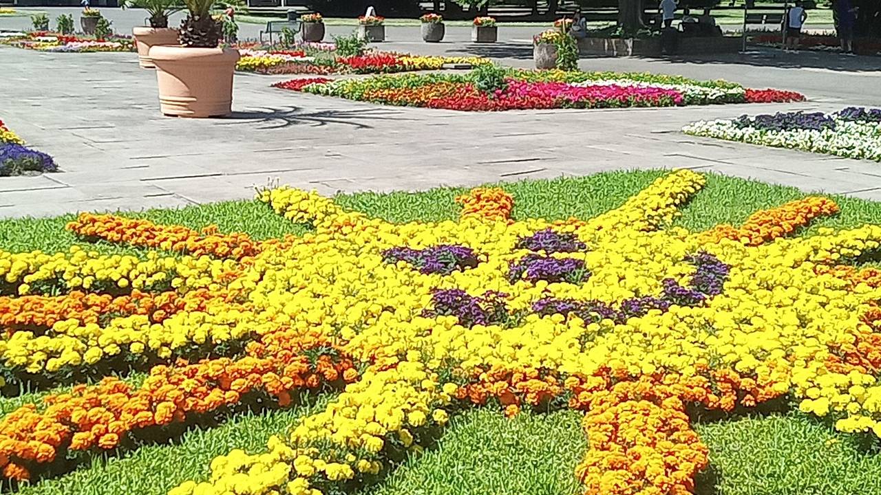 Der Rheinpark erstrahlt bei Sonnenschein von oben und unten. So schön kann Köln sein.