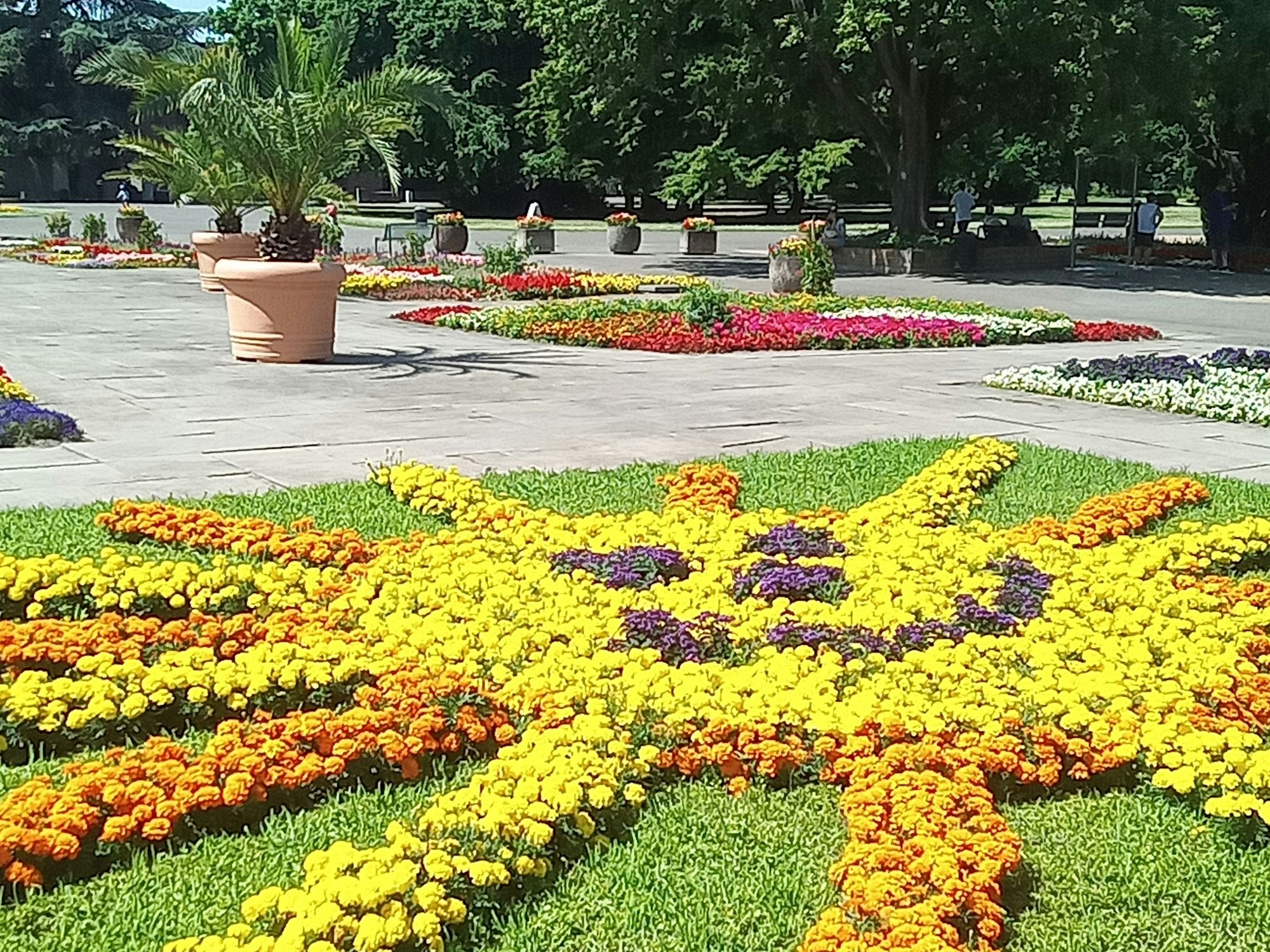 Der Rheinpark erstrahlt bei Sonnenschein von oben und unten. So schön kann Köln sein.