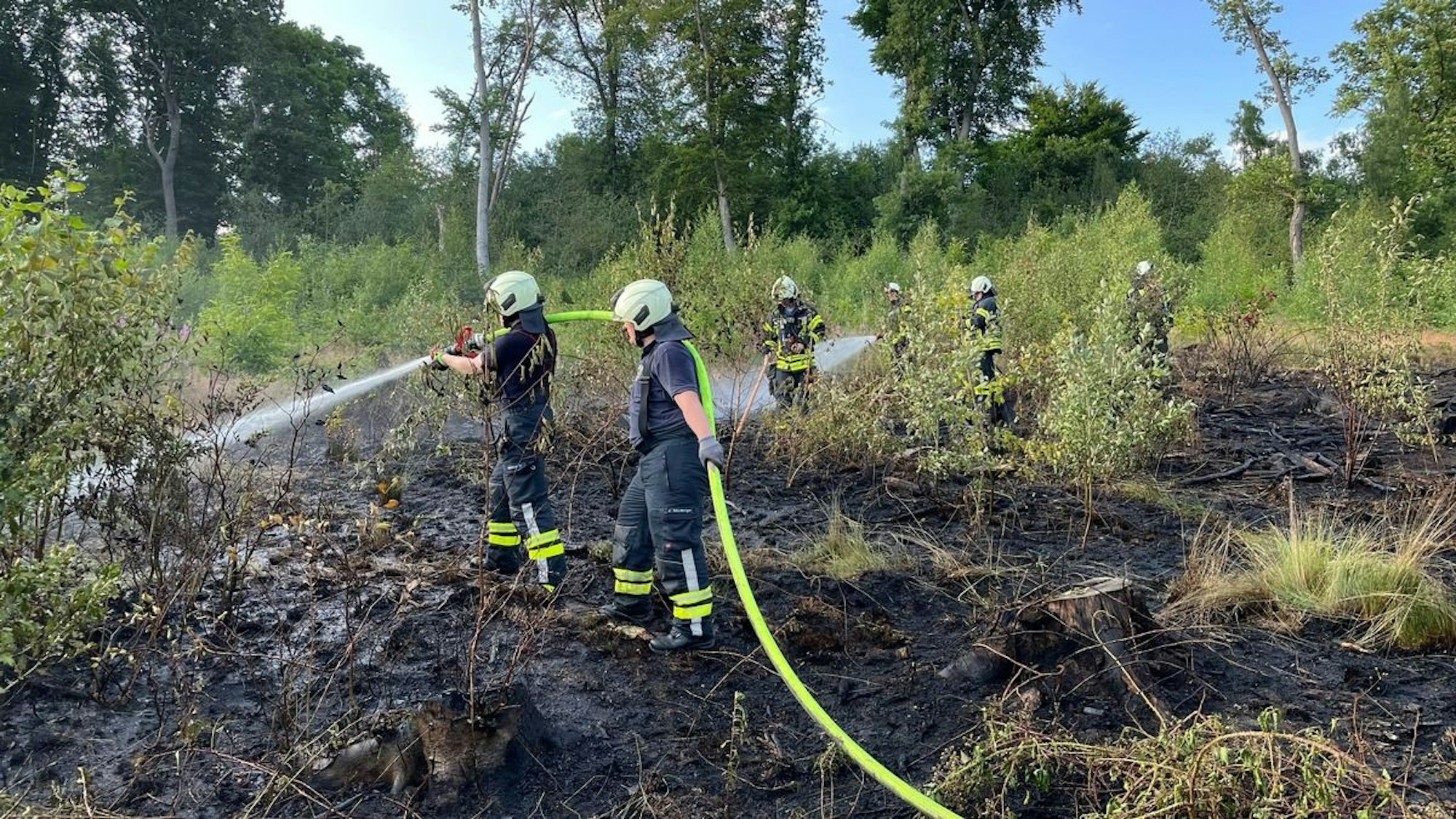 Waldgebiet in Sprockhövel nach einem Brand. Die Feuerwehr konnte das Feuer nach intensiven Löscharbeiten unter Kontrolle bringen.