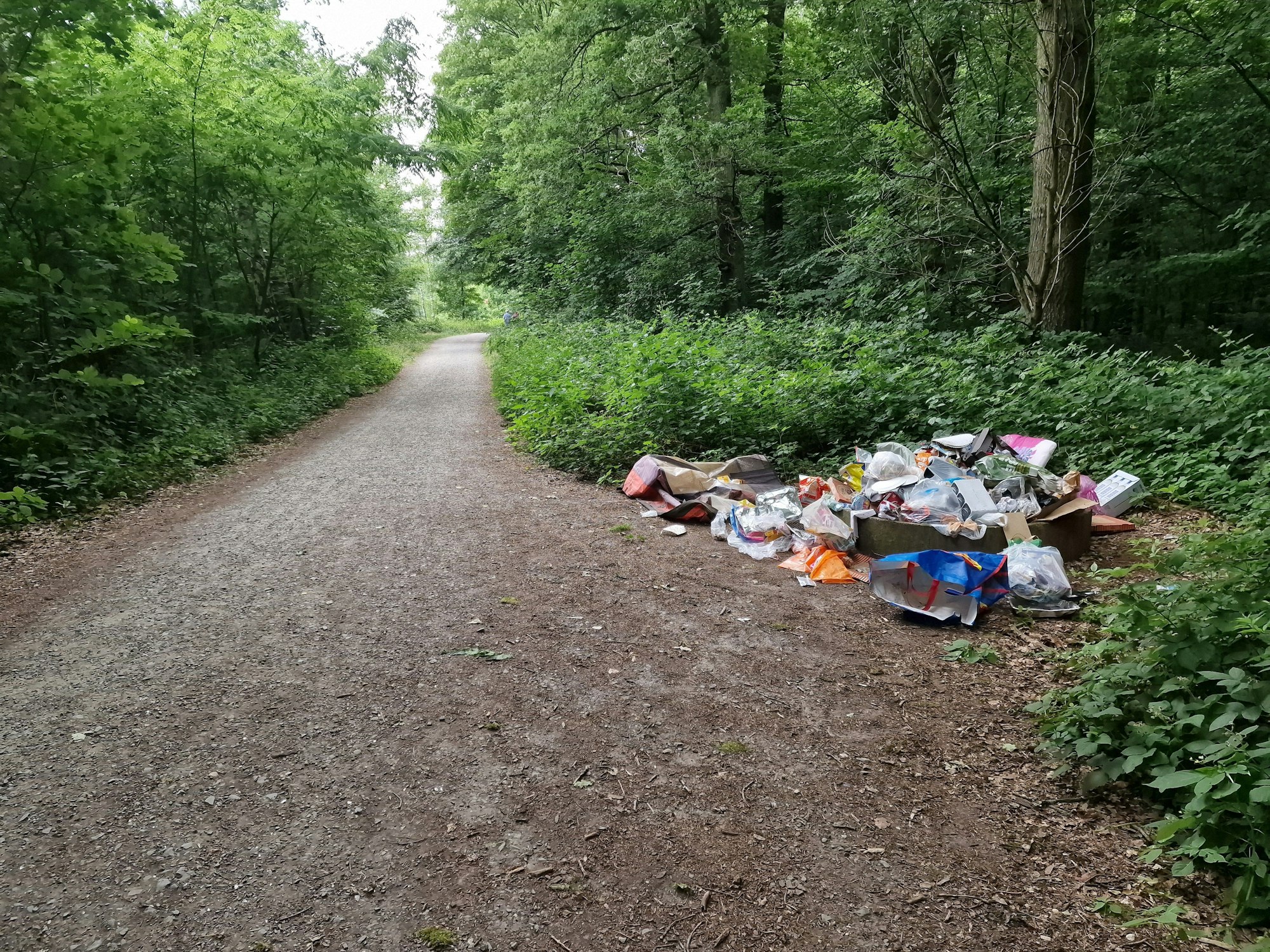 Müll liegt an einem Wegrand in einem Wald.