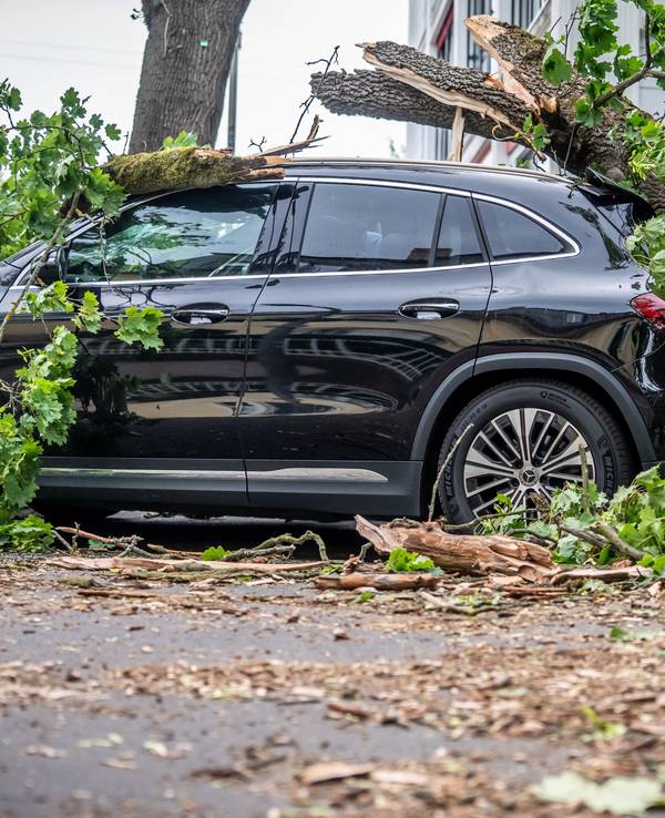Ein vom Sturm abgebrochener Baum liegt auf einem Auto in der Trabener Straße im Westen von Berlin. Nach dem Hitze-Wochenende hat ein Sturm zu zahlreichen Schäden in der Hauptstadt geführt.