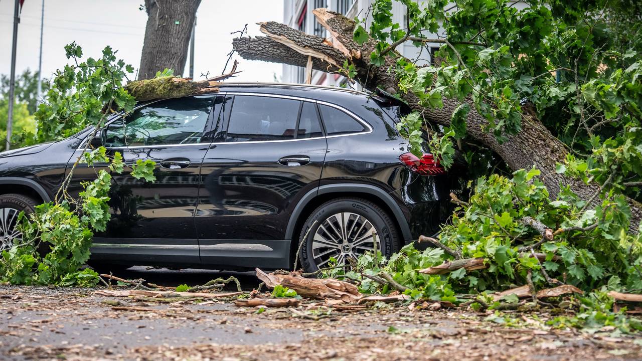 Ein vom Sturm abgebrochener Baum liegt auf einem Auto in der Trabener Straße im Westen von Berlin. Nach dem Hitze-Wochenende hat ein Sturm zu zahlreichen Schäden in der Hauptstadt geführt.