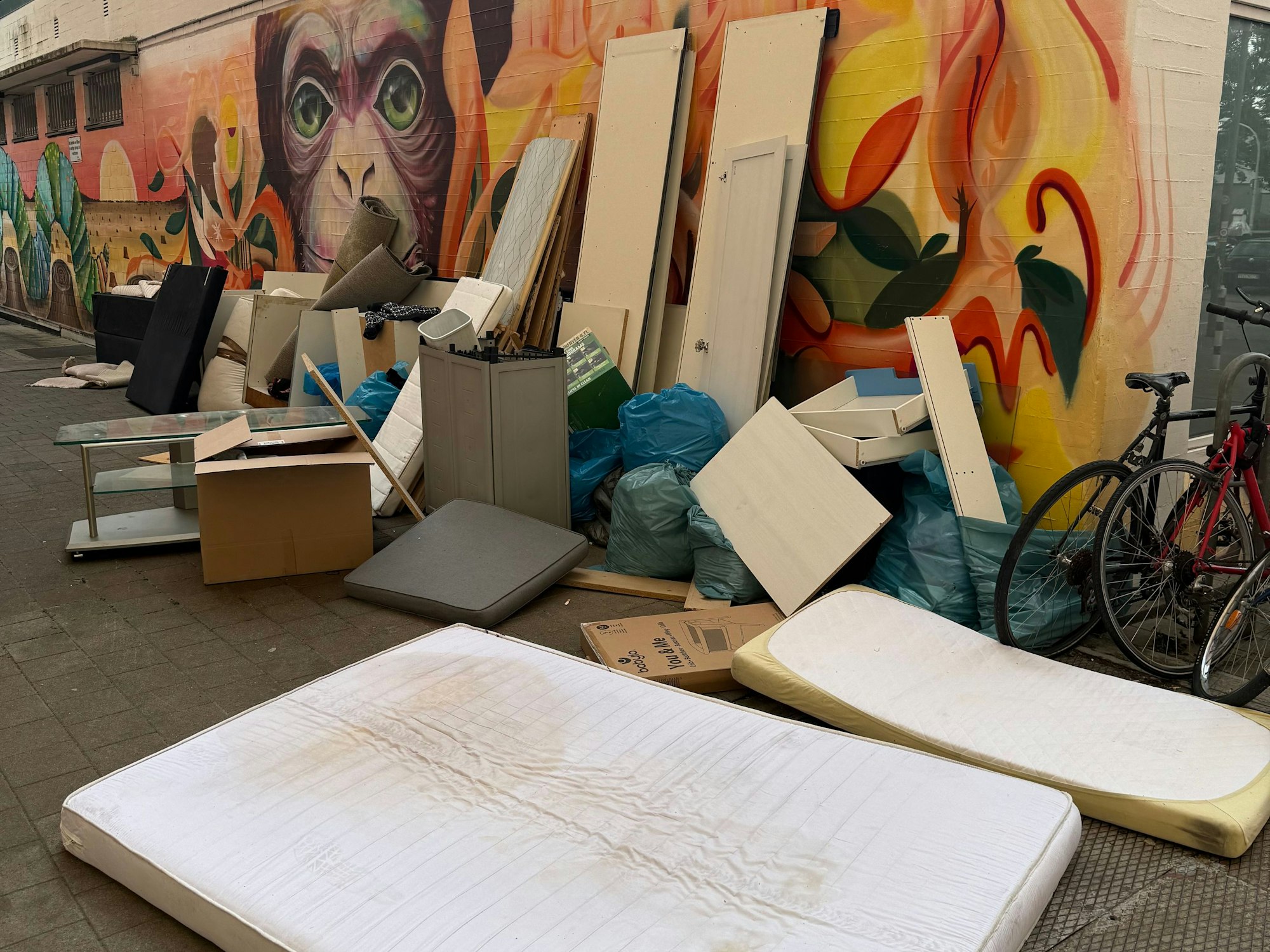 Sperrmüll liegt am Straßenrand.