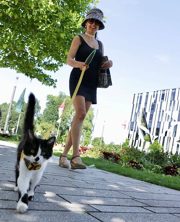 Klaudija Paunovic mit ihrem Kater „Pluto“ auf dem Corneliusplatz am nördlichen Ende der Königsallee in Düsseldorf.