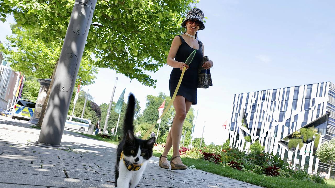 Klaudija Paunovic mit ihrem Kater „Pluto“ auf dem Corneliusplatz am nördlichen Ende der Königsallee in Düsseldorf.