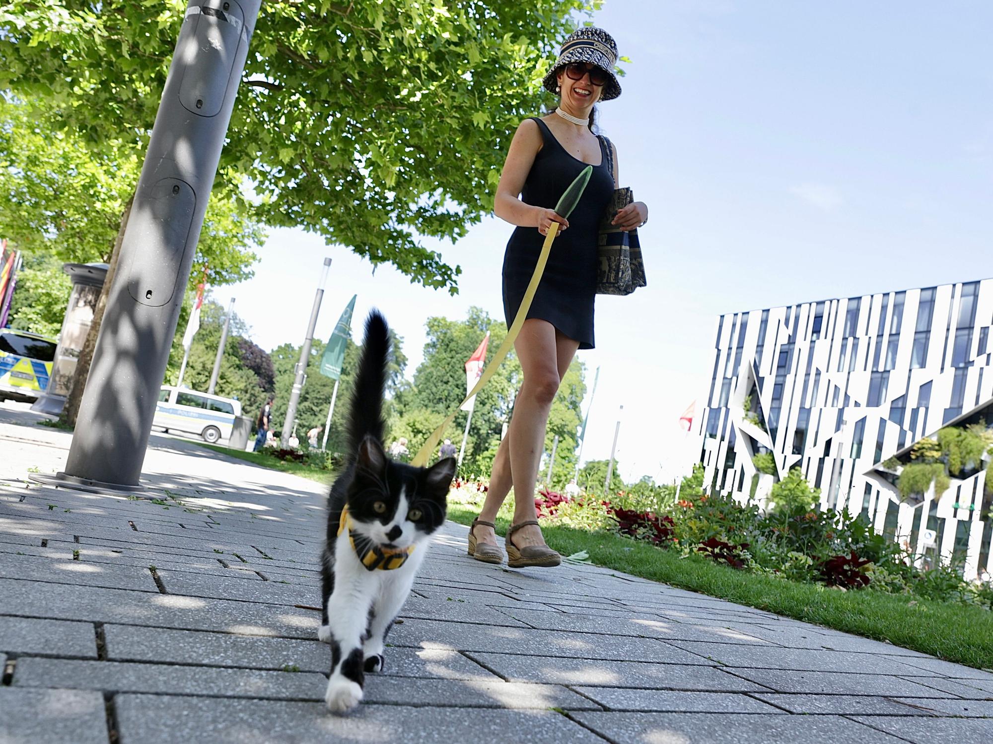 Klaudija Paunovic mit ihrem Kater „Pluto“ auf dem Corneliusplatz am nördlichen Ende der Königsallee in Düsseldorf.