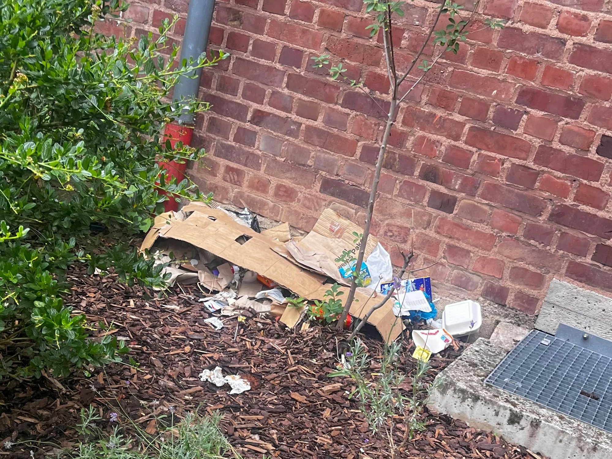 Müll liegt in einem Garten.