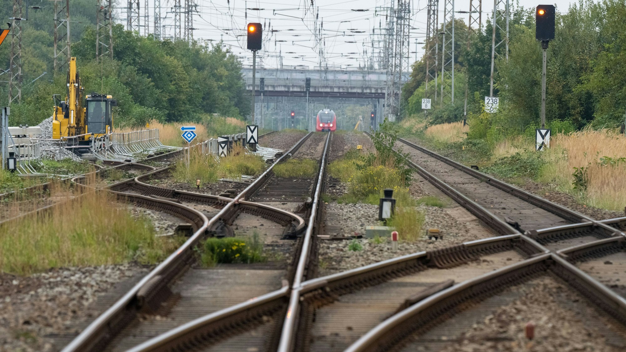 Blick auf Bahngleise und eine Regionalbahn unter einer Brücke (Symbolfoto).