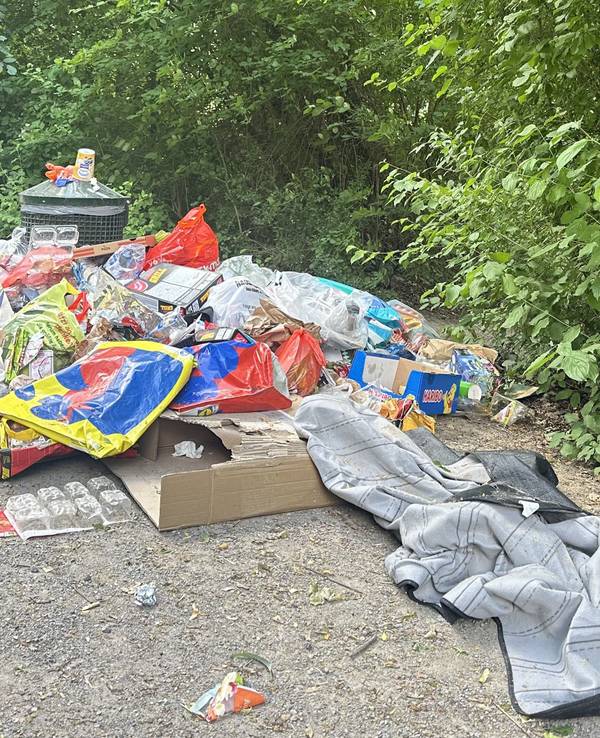 Müll liegt an einem Gebüsch.