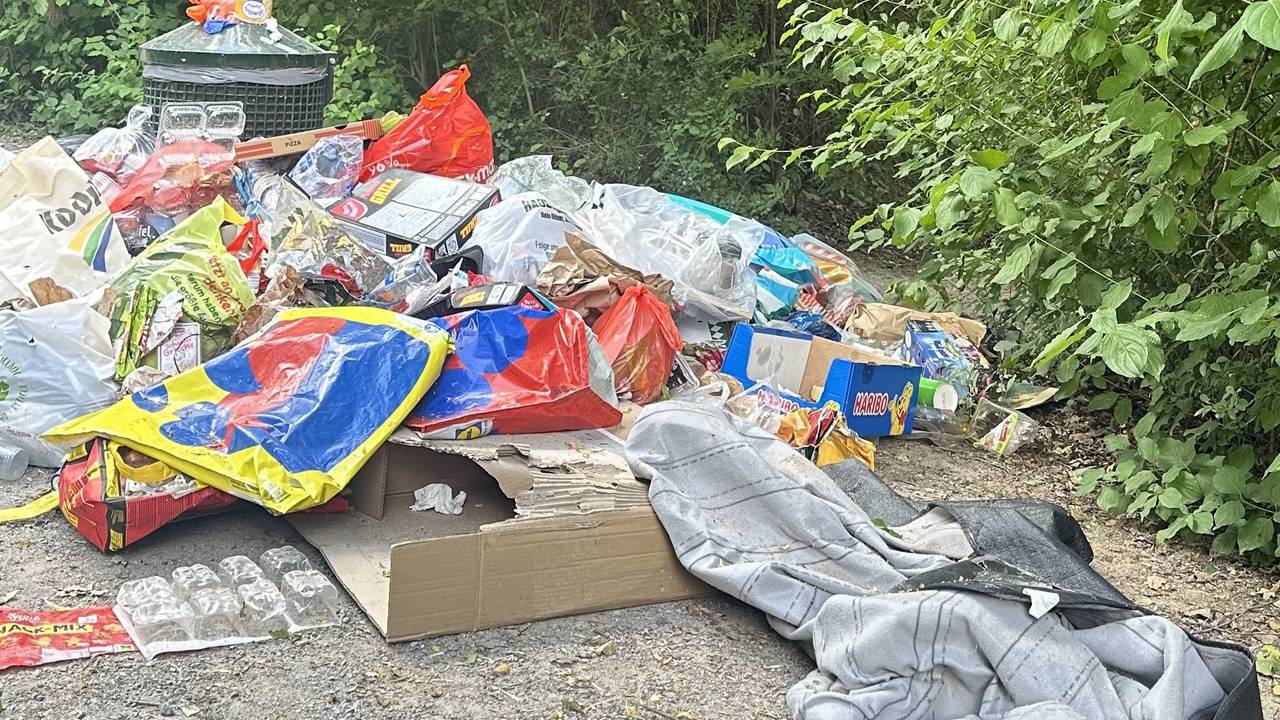 Müll liegt an einem Gebüsch.