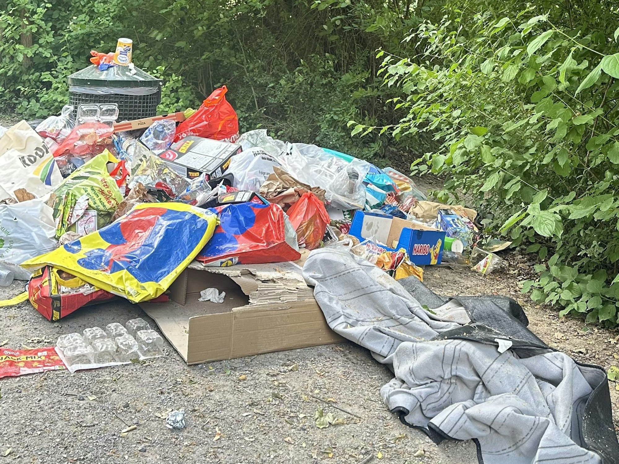 Müll liegt an einem Gebüsch.