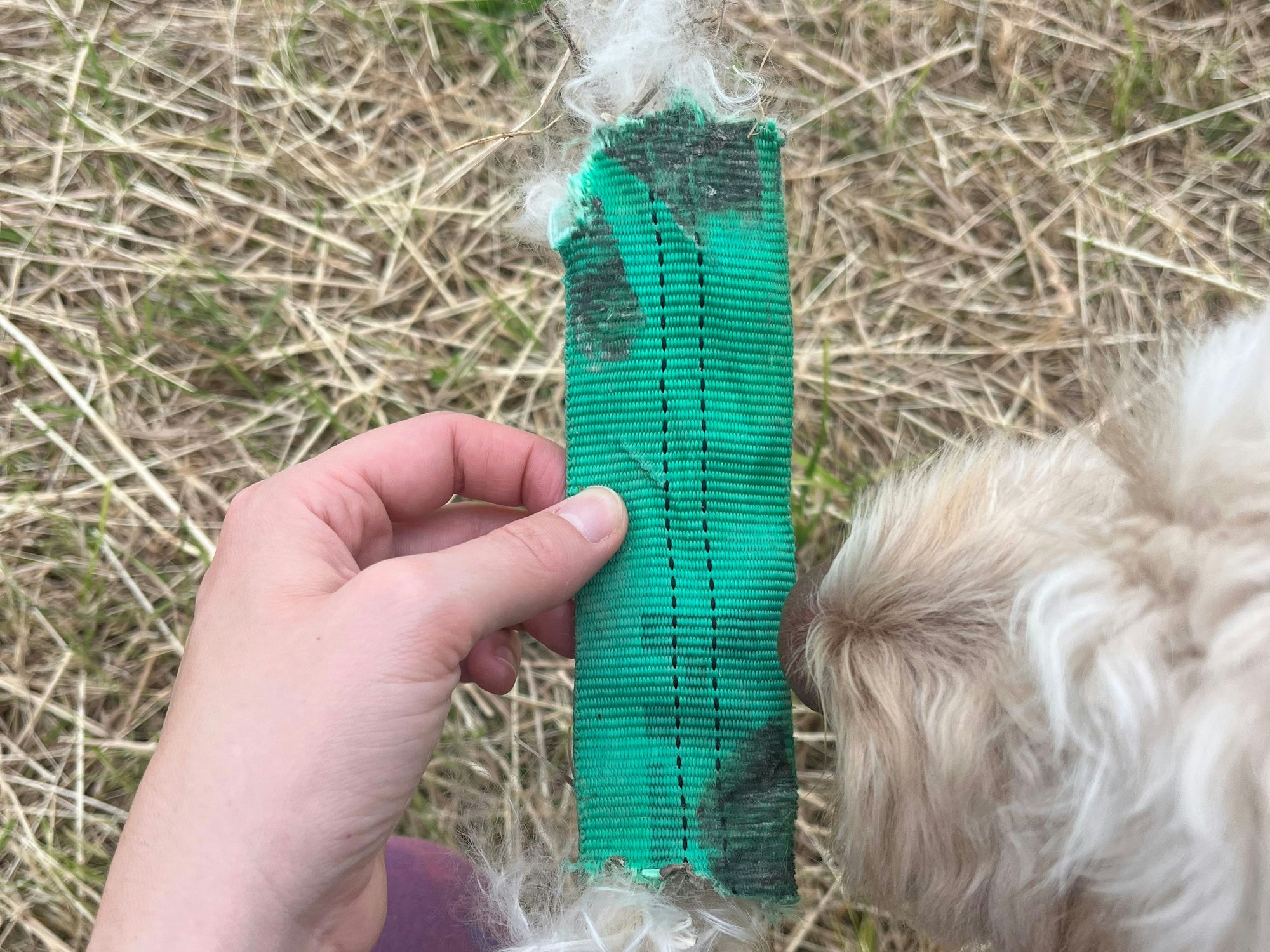 Eine Frau hält ein grünes Band in der Hand.