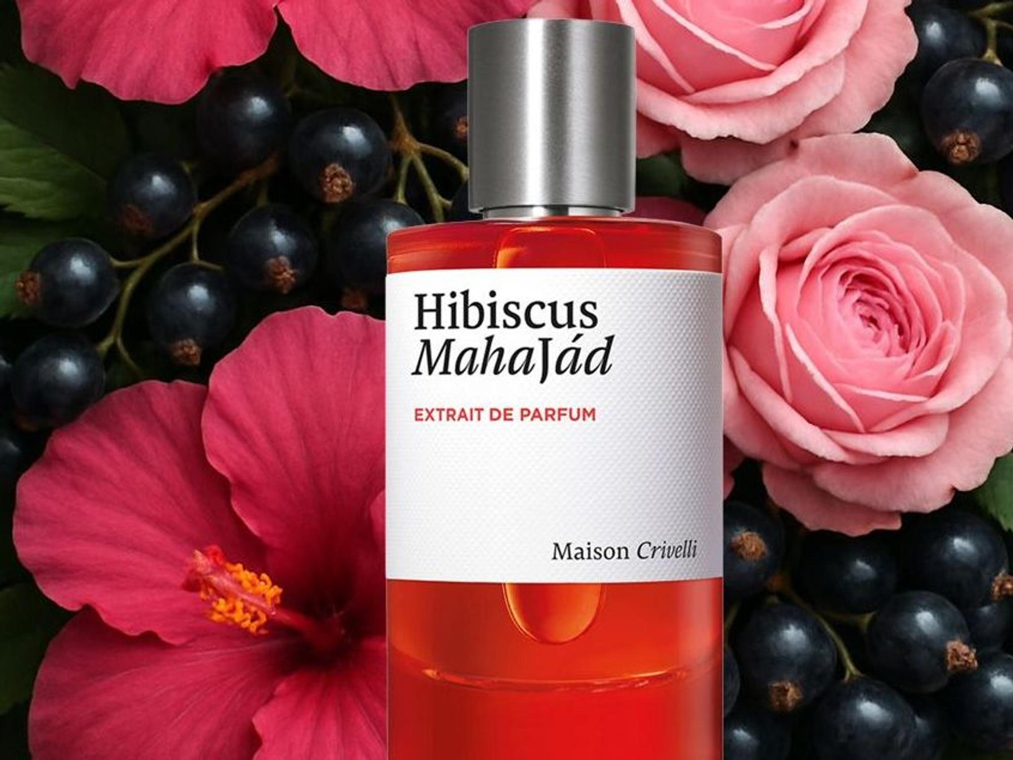 Maison Crivelli
Hibiscus Mahajad