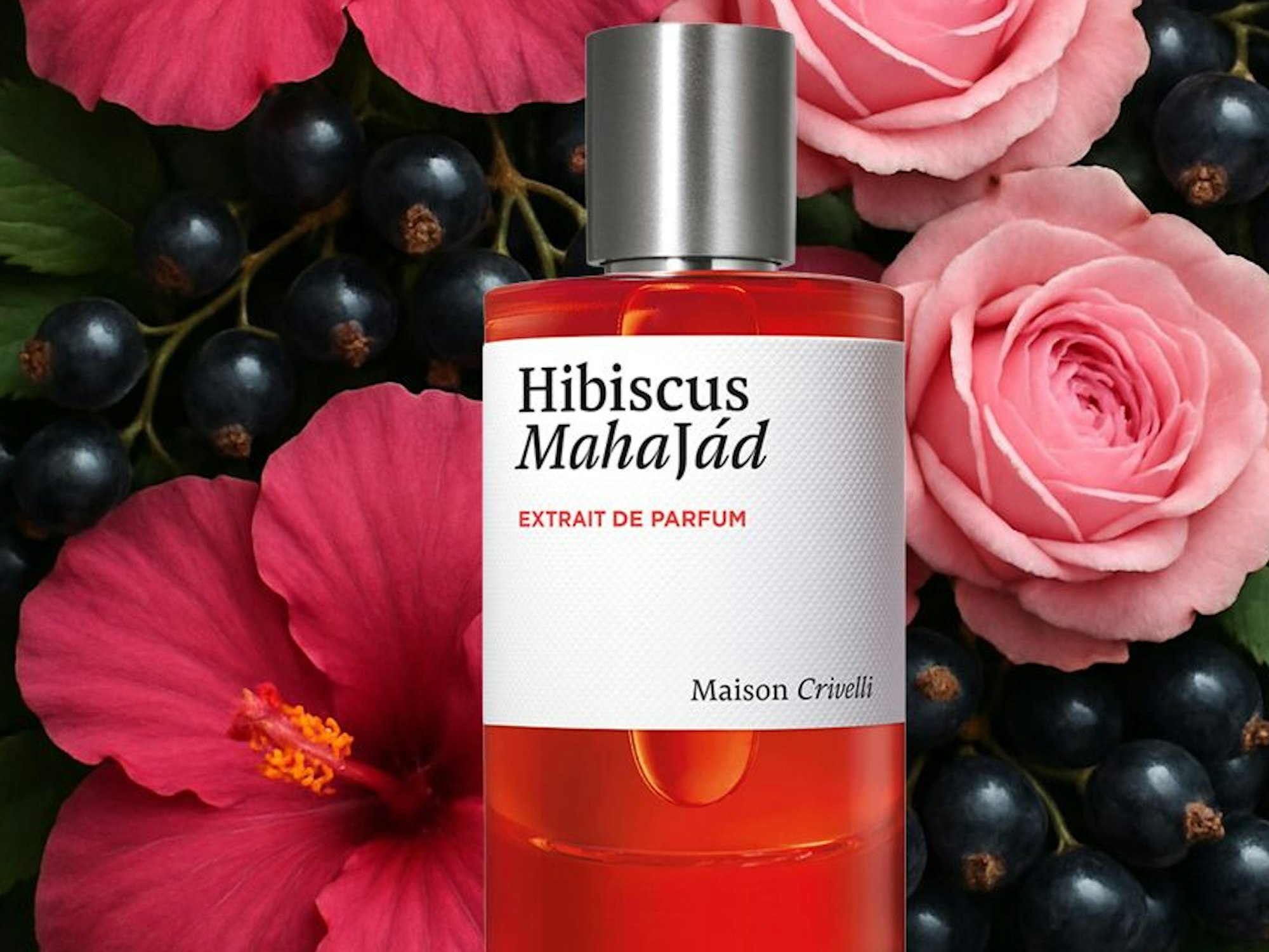 Maison Crivelli
Hibiscus Mahajad