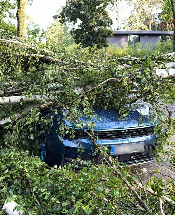 Ein durch schwere Böen entwurzelter Baum liegt auf einem Auto im Berliner Stadtteil Heiligensee.