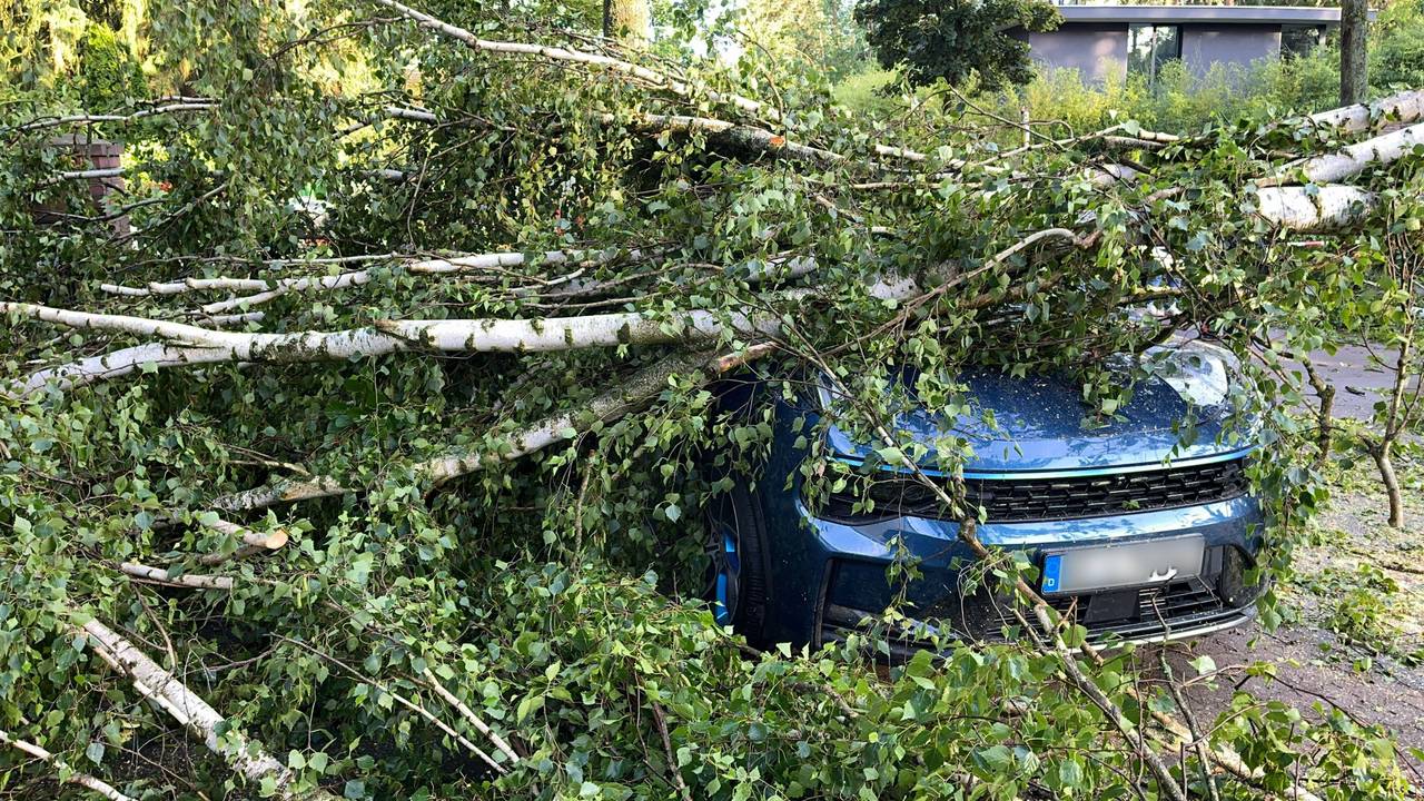 Ein durch schwere Böen entwurzelter Baum liegt auf einem Auto im Berliner Stadtteil Heiligensee.