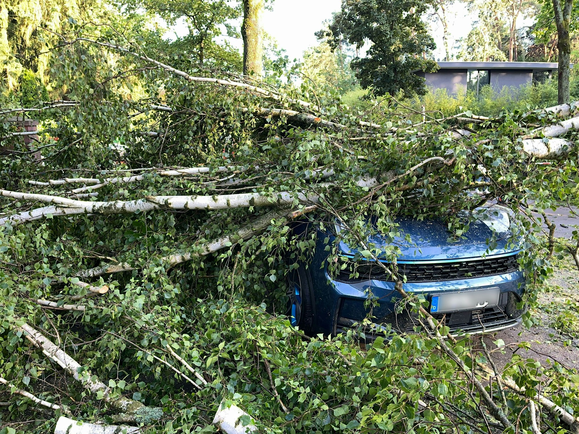 Ein durch schwere Böen entwurzelter Baum liegt auf einem Auto im Berliner Stadtteil Heiligensee.