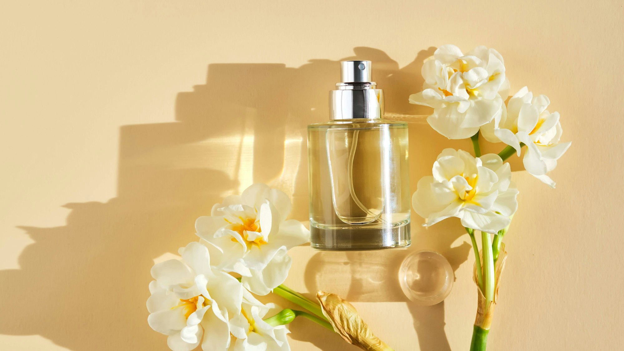 Parfüm auf einem beigen Hintergrund in den Strahlen der hellen Sonne