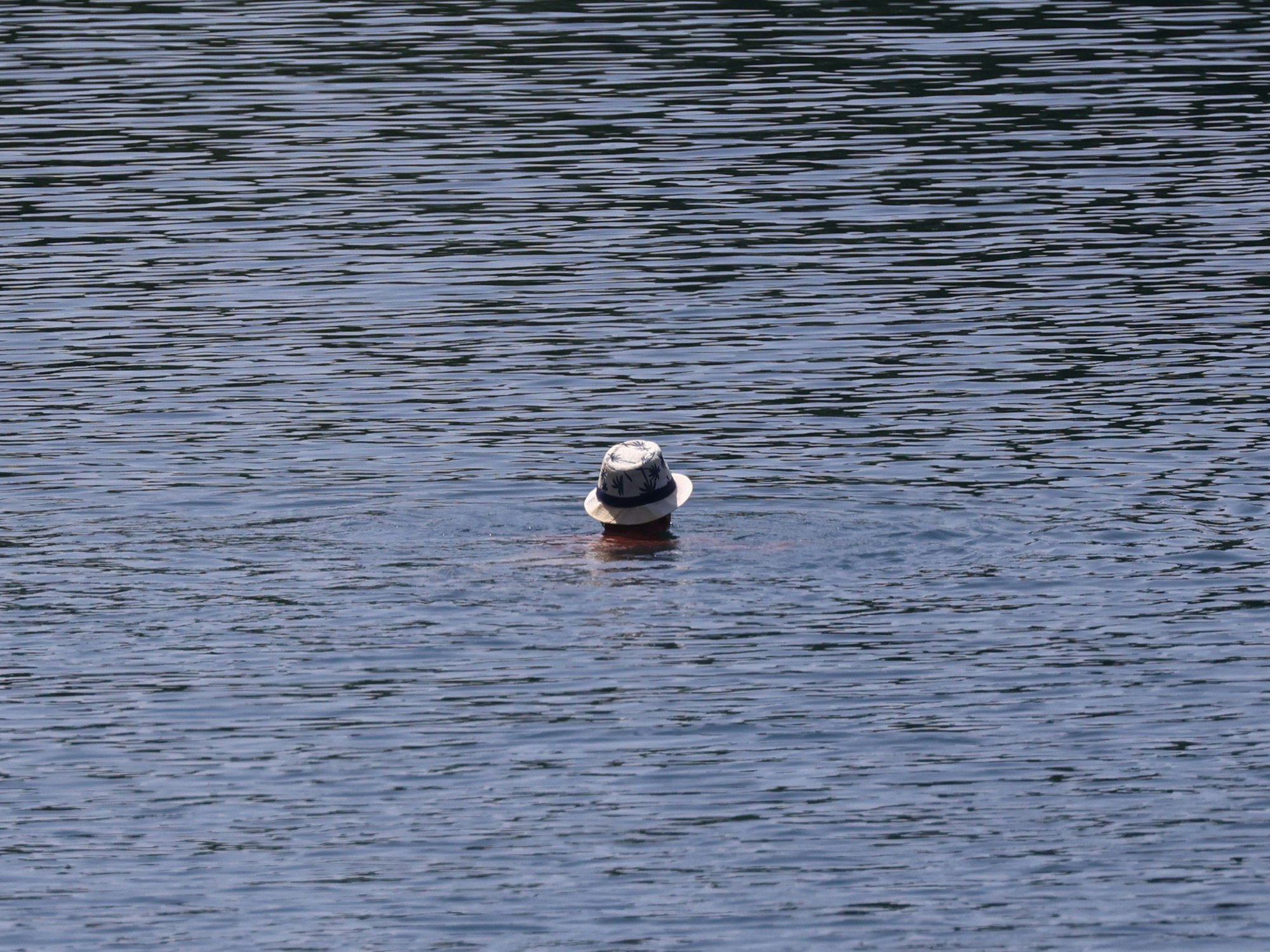 Ein Schwimmer mit Hut schwimmt in einem Gewässer
