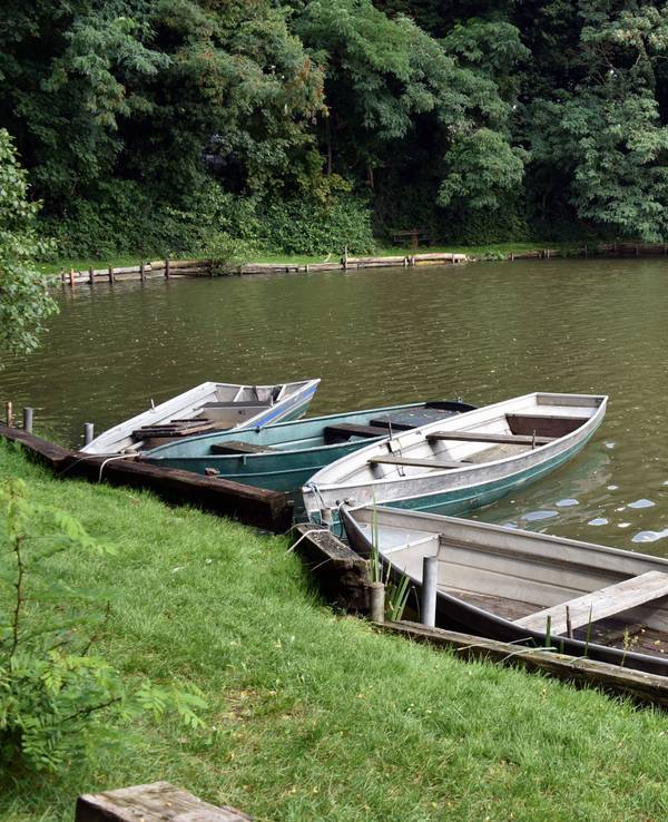 Ein Großaufgebot an Rettungskräften sucht nach einem vermissten jungen Mann am Berggeistweiher. Das Archivbild zeigt den Berggeistweiher im August 2021.