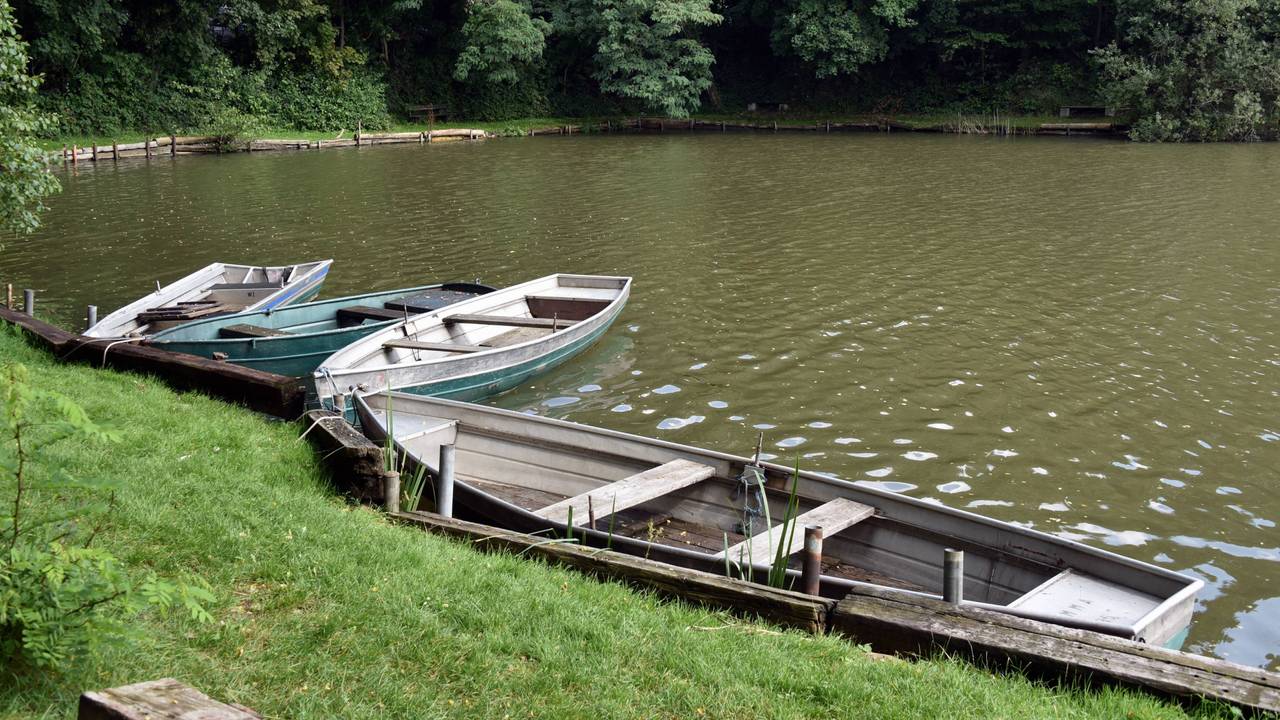 Ein Großaufgebot an Rettungskräften sucht nach einem vermissten jungen Mann am Berggeistweiher. Das Archivbild zeigt den Berggeistweiher im August 2021.