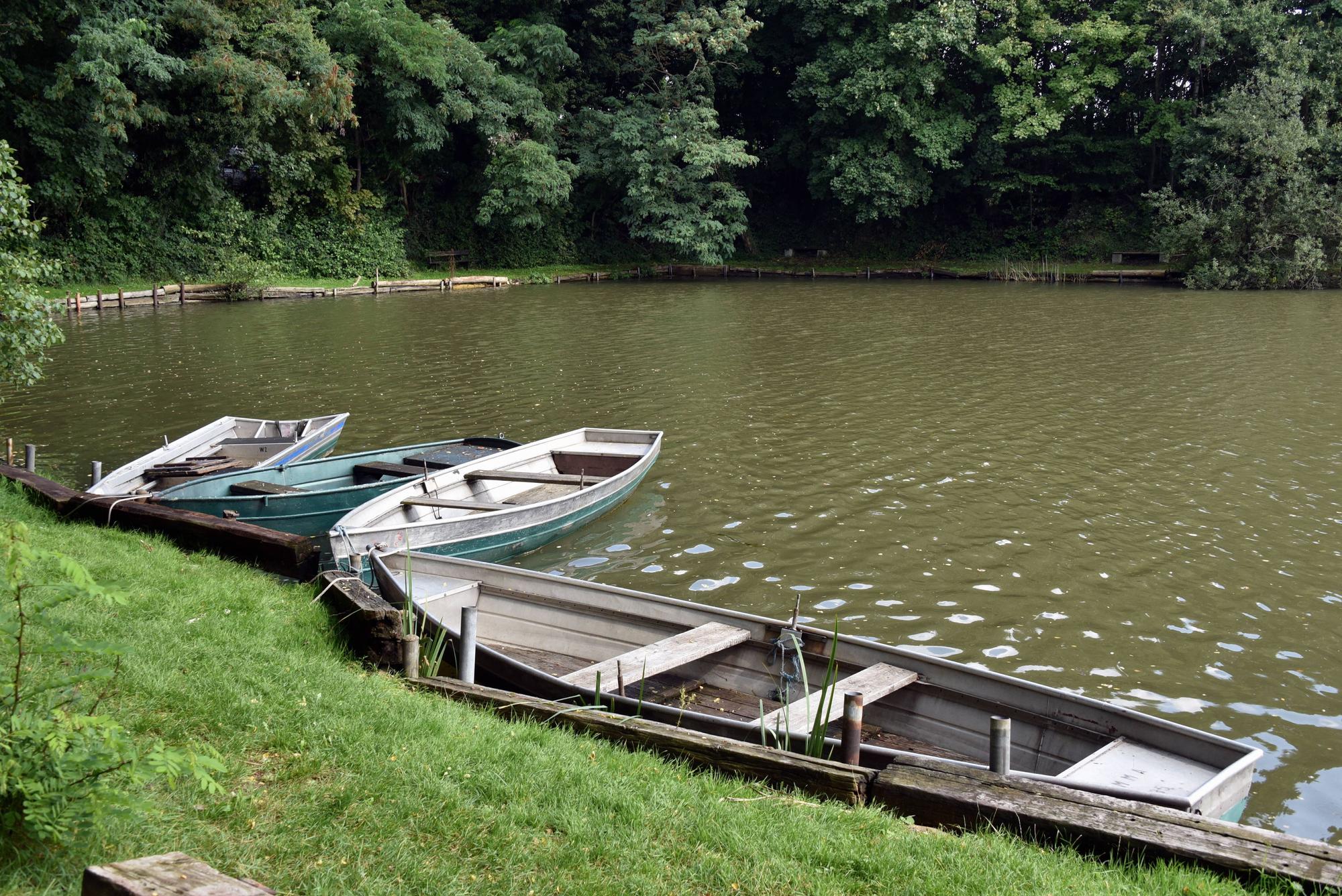 Ein Großaufgebot an Rettungskräften sucht nach einem vermissten jungen Mann am Berggeistweiher. Das Archivbild zeigt den Berggeistweiher im August 2021.