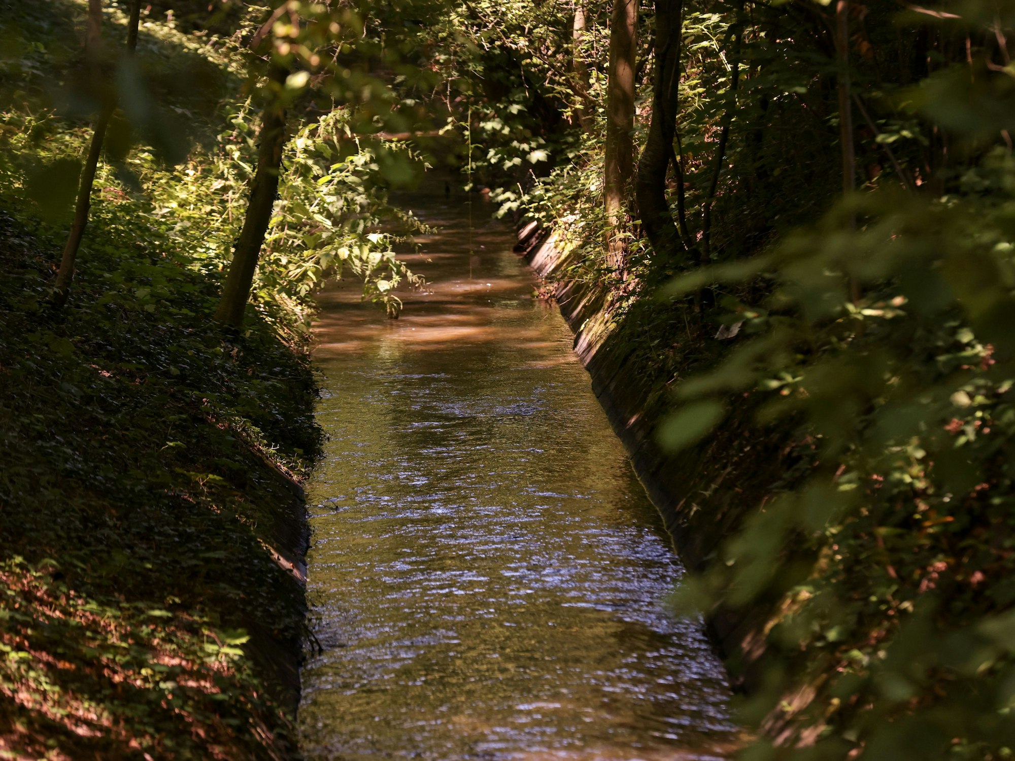Blick auf den Faulbach in Köln.