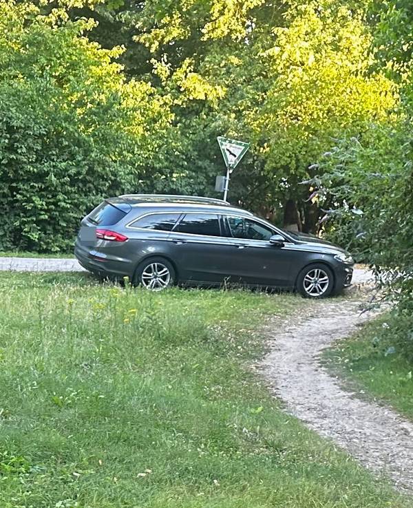 Ein Wildparker im Grünen am Escher See in Köln
