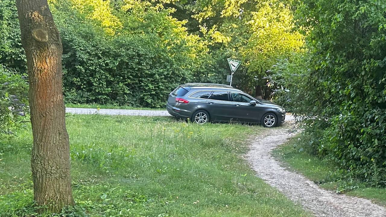 Ein Wildparker im Grünen am Escher See in Köln