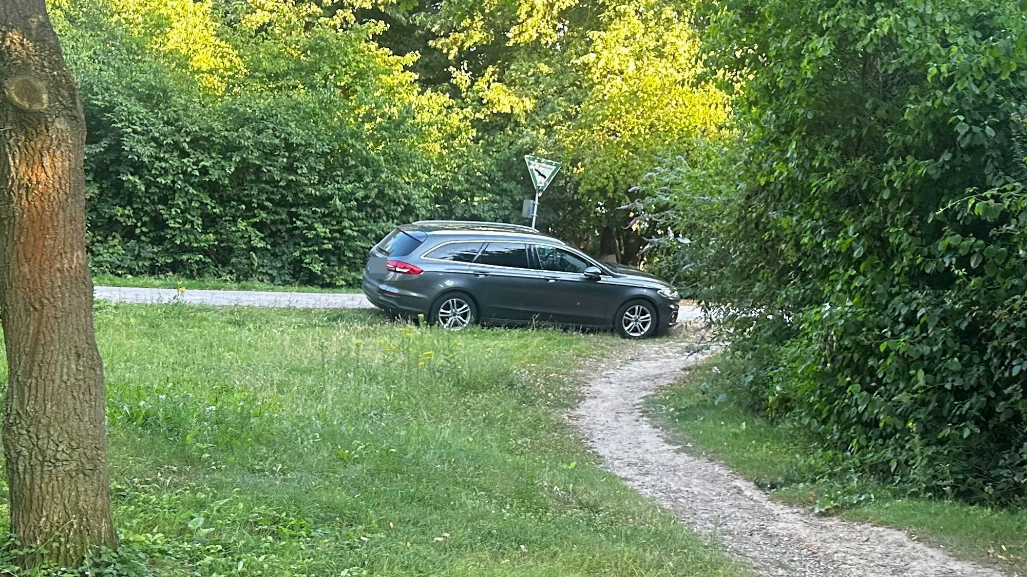 Ein Wildparker im Grünen am Escher See in Köln
