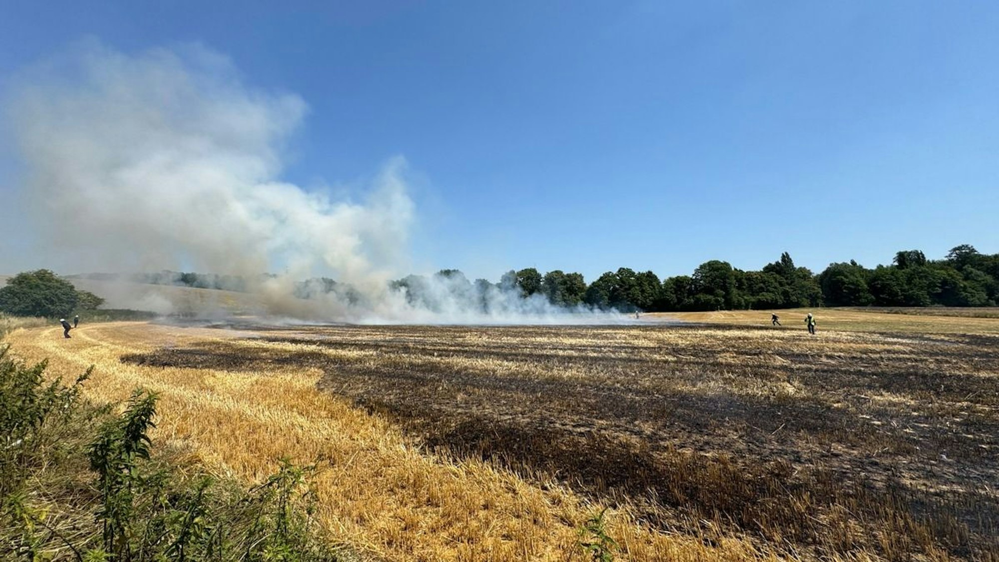Einsatzkräfte der Feuerwehr Erkrath bei der Brandbekämpfung eines großflächigen Stoppelfeldbrandes. Das Feuer drohte auf einen angrenzenden Waldbereich überzugreifen, konnte aber erfolgreich gelöscht werden.