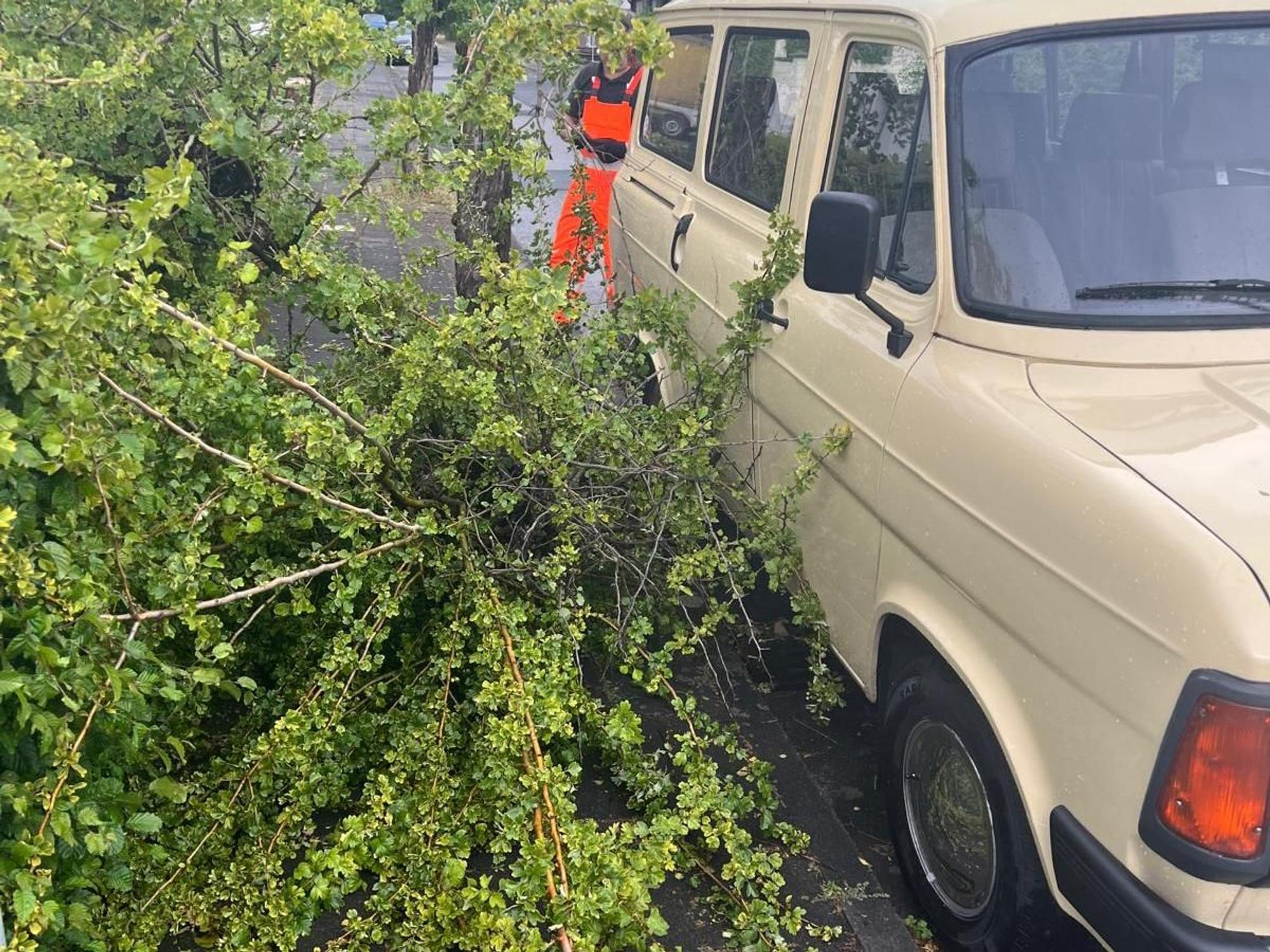 Zu 15 unwetterbedingten Einsätzen musste die Feuerwehr in Bergheim ausrücken.