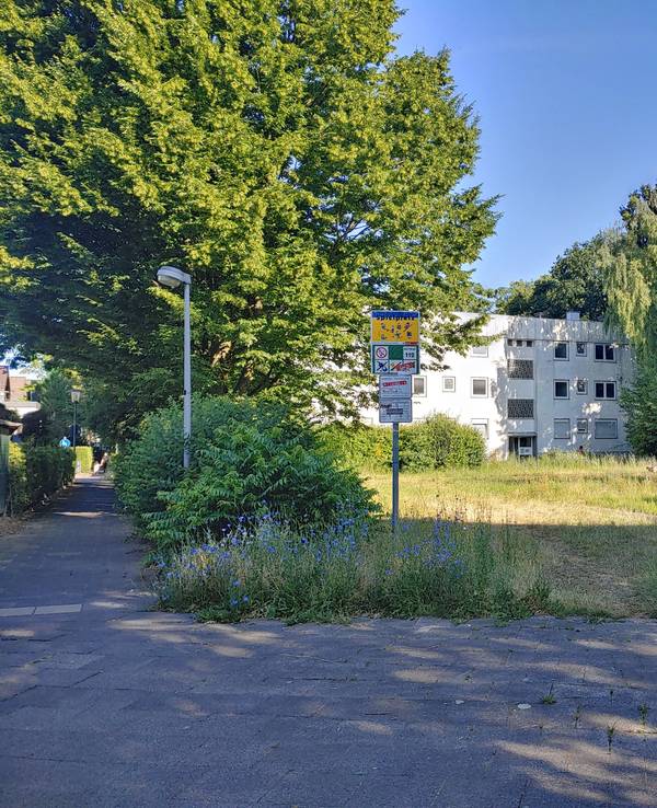 Ein Spielplatz in Neubrück ohne Spielgeräte.