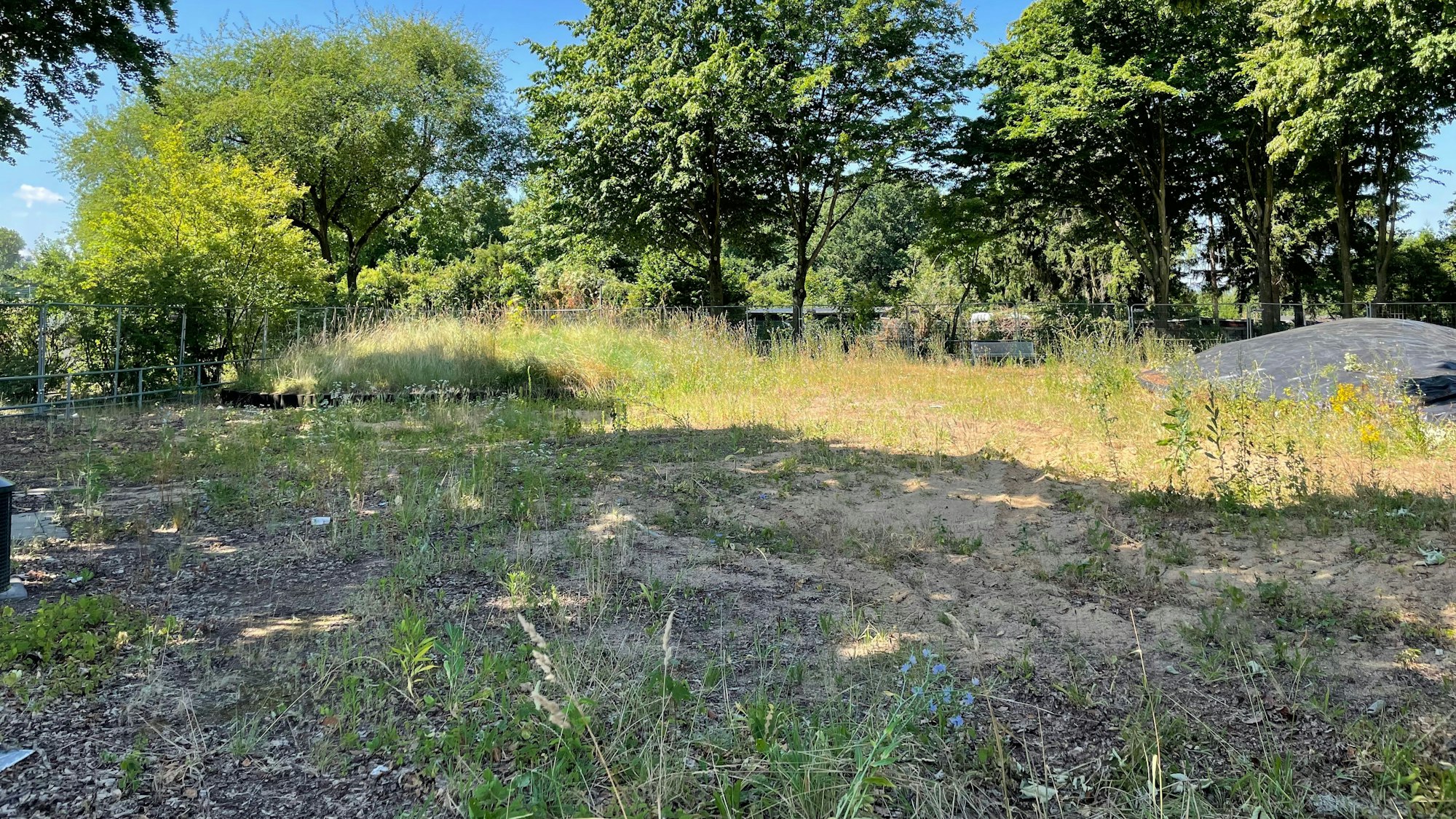 Blick auf den Spielplatz in der Fritz-Haber-Straße in Köln-Flittard