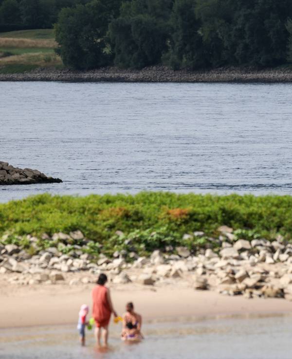Zwei Frauen und zwei Kinder erfrischen sich im Rhein - an der Stelle, an der am Mittwochabend ein sechs Jahre alter Junge abgetrieben wurde.