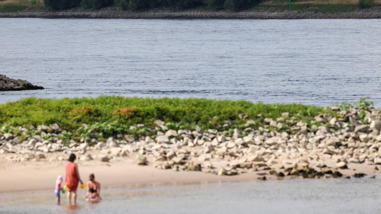 Zwei Frauen und zwei Kinder erfrischen sich im Rhein - an der Stelle, an der am Mittwochabend ein sechs Jahre alter Junge abgetrieben wurde.