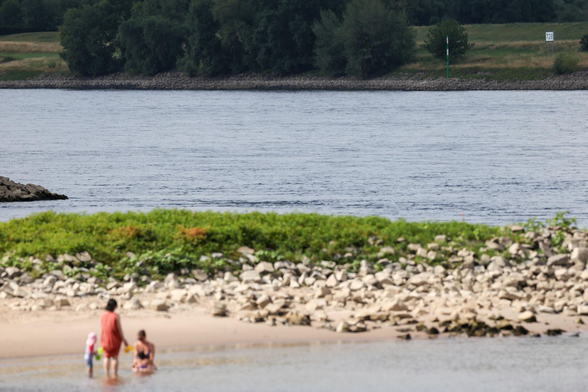 Zwei Frauen und zwei Kinder erfrischen sich im Rhein - an der Stelle, an der am Mittwochabend ein sechs Jahre alter Junge abgetrieben wurde.