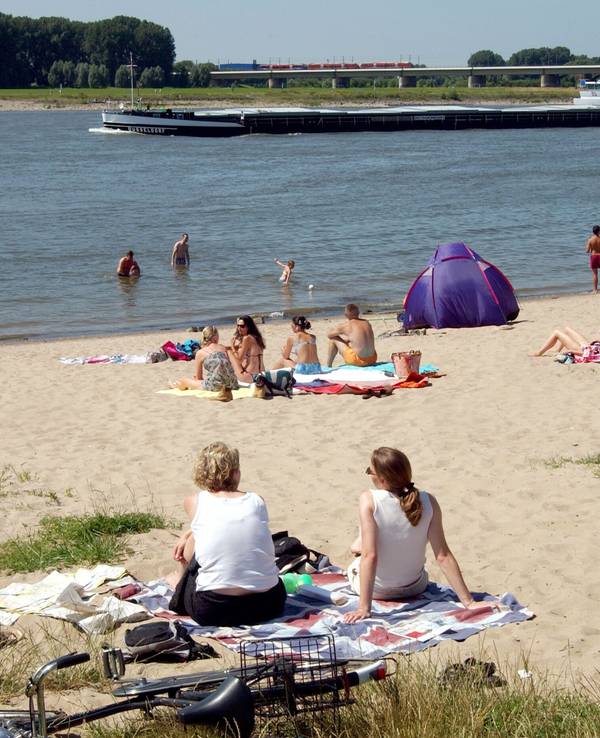 Der Rhein in Düsseldorf: Hier wagen sich immer wieder Menschen ins Wasser.