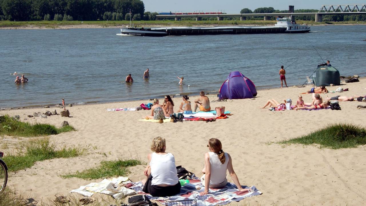Der Rhein in Düsseldorf: Hier wagen sich immer wieder Menschen ins Wasser.